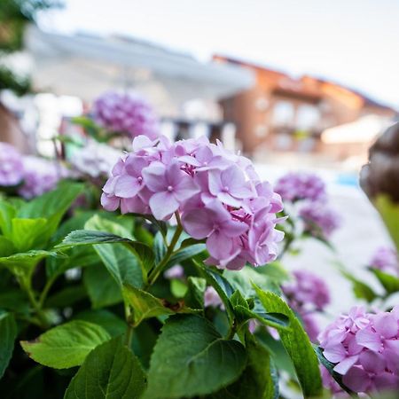 Villa Biser Dunava Vukovár Kültér fotó